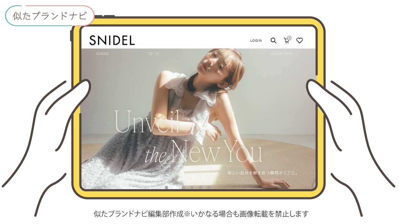 エイミーイストワールと似てるブランドのsnidel